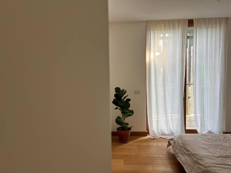 Casa Alegria Daire Trento Dış mekan fotoğraf
