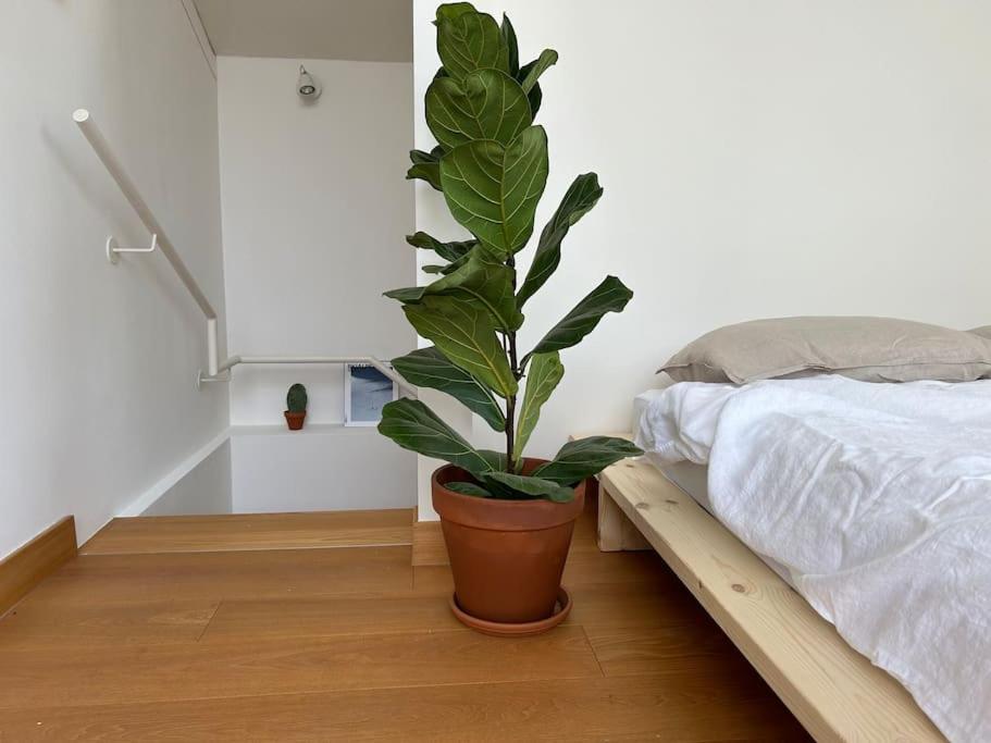 Casa Alegria Daire Trento Dış mekan fotoğraf