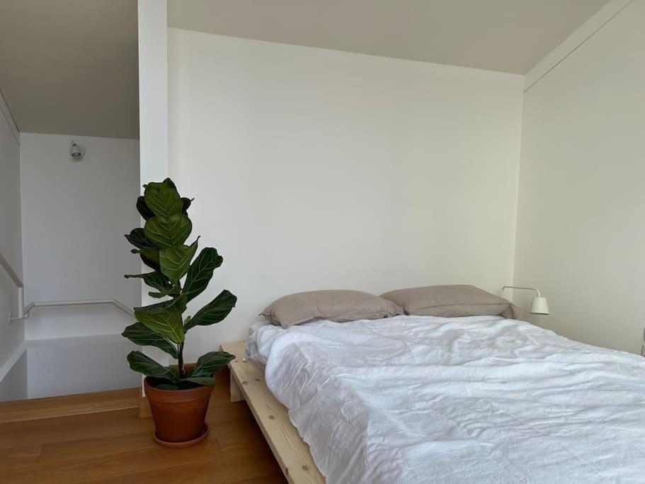 Casa Alegria Daire Trento Dış mekan fotoğraf