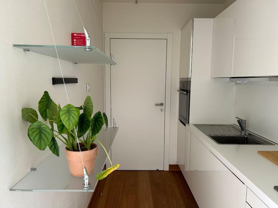 Casa Alegria Daire Trento Dış mekan fotoğraf